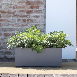 Deroma 9H92ZSZ217 Jardinera Muret Millennium R con reserva de agua, gris ceniza, 59 cm Deroma 9H92ZSZ217 Jardinera Muret Millennium R con reserva de agua, gris ceniza, 59 cm