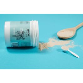 Supplepets Pro Flora 70 gr Probiótico para Perros, Equilibrio Intestinal, Digestibilidad y Salud Heces