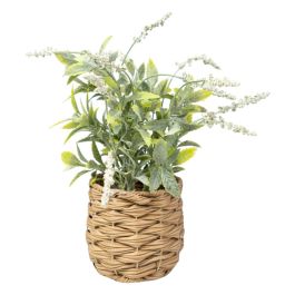 Planta Decorativa Romimex Plástico Fibra Lavanda 15 x 32 x 15 cm Precio: 27.50000033. SKU: B16PWP82W7