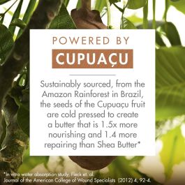 Champú Phyto Paris RÉPARATION 400 ml