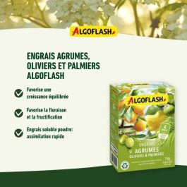 Algoflash Naturasol MED1R Fertilizante para Cítricos, Olivos y Palmeras - 1 kg Algoflash Naturasol MED1R Fertilizante para Cítricos, Olivos y Palmeras - 1 kg
