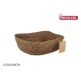 Cesta de mimbre cuadrada Privilege 22x22x8 cm (12 Unidades)