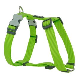 Red Dingo Arnés Liso para Perro de Nylon 20mm, Color Lima, Robusto con Hebillas Gemelas de Acero Inoxidable, Ajuste Cuello 37-61cm Precio: 14.49999991. SKU: S6100124