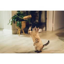 Gloria Palo Con Rata Juguete Para Gatos De Piel De Conejo 100% Natural Fabricado En España