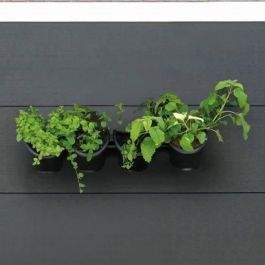 Jardinera de pared - Kit de pared compuesto por soporte de pared y 4 maceteros (1 L) - Negro - Dim A 15 x L 60 cm - NATURE Jardinera de pared - Kit de pared compuesto por soporte de pared y 4 maceteros (1 L) - Negro - Dim A 15 x L 60 cm - NATURE