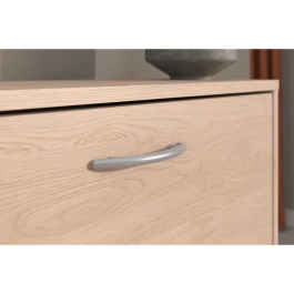 Parisot Zapatero con 2 puertas - Roble - 66,5 x 78,5 x 25,1 - EASYLIFE7901MCHA