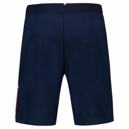 Pantalones Cortos Deportivos para Hombre Le coq sportif Tri Regular N°1 Sky Azul