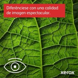 Impresora Multifunción Xerox C415V_DN