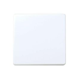 Simon Pulsador Ancho Serie 27 Blanco 10A 250V~ 45x45mm Precio: 8.49999953. SKU: B18CCS2TCG