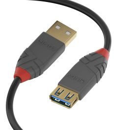 Cable USB LINDY 36761 Negro 1 m (1 unidad) Precio: 10.95000027. SKU: B187WFD7LQ