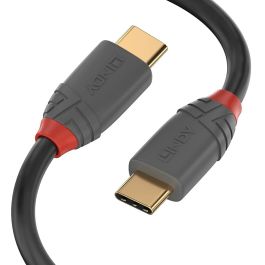 Cable USB C LINDY 36872 2 m Negro Gris