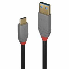 Cable USB A a USB C LINDY 36911 Negro Antracita