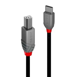 Cable USB C a USB B LINDY 36942 Negro 2 m Precio: 12.94999959. SKU: B1CJMNWNNN