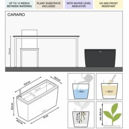 Maceta LECHUZA Cararo Premium - kit completo, antracita metalizado