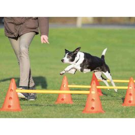 TRIXIE Lote de 3 actividades de obstáculos - Ø 23 × 30 cm - 78 cm - Naranja y amarillo - Para perros