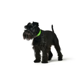 Collar para Perro Hunter Convenience 53-61 cm L/XL Verde