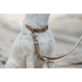 Collar para Perro Hunter Inari Beige 40-55 cm L