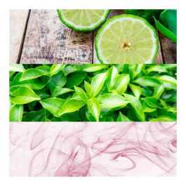 Perfume Unisex Ck One Calvin Klein 3607343811798 EDT CK One Ck One