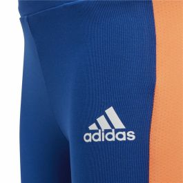 Mallas Deportivas para Niños Adidas Tight Azul