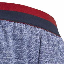 Pantalones Cortos Deportivos para Niños Adidas FC Bayern München Fútbol Azul