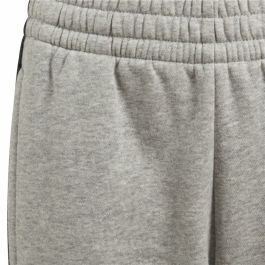 Pantalón Deportivo Infantil Adidas Gris