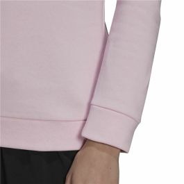 Sudadera con Capucha Mujer Adidas Terrex Lavanda