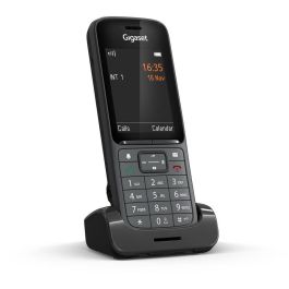 Teléfono Fijo Gigaset S30852-H2975-R102 Antracita