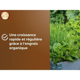 Or Brun OBRTARO6U Tierra para hortalizas y plantas aromáticas 6L - Crecimiento rápido