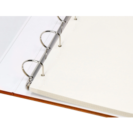 Liderpapel Álbum de Fotos Serie Classic con Anillas y 20 Hojas Autoadhesivas, Color Marrón
