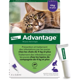 Advantage 80 - 4 Pipetas Antiparasitarias para Gatos y Conejos de 4 kg y más Precio: 33.59000051. SKU: B135FTM4K2