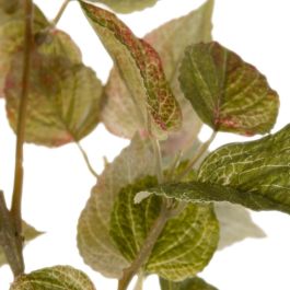 Rama Verde Pvc Jardín 56 cm