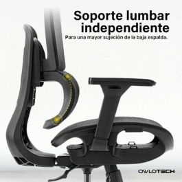 Silla de Oficina Owlotech Negro