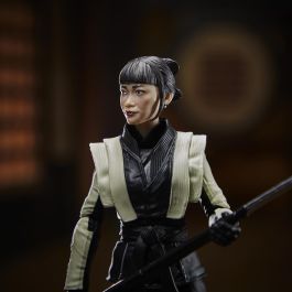 Figura 15Cm Akiko Gijoe F0112 Hasbro