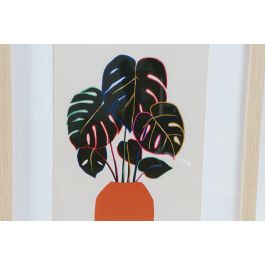 DKD Home Decor Cuadro Scandi de Plantas, Verde y Beige, 45 x 35 cm (Pack 12 Unidades Surtidas)