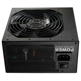 FSP HP2-500 unidad de fuente de alimentación 500 W 24-pin ATX ATX Negro