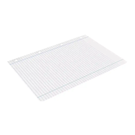 Liderpapel Recambio A4 100 Hojas 100gr Horizontal Con Doble Margen Y 4 Taladros