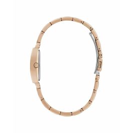Reloj Mujer Guess GW0611L3 (Ø 25 mm) Reloj Mujer Guess GW0611L3 (Ø 25 mm)