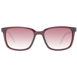 Gafas de Sol Hombre Ted Baker TB1529 53249