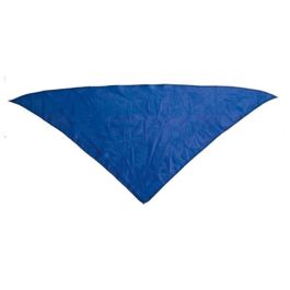 Pañoleta Triangular 143029 (100 x 70 cm)