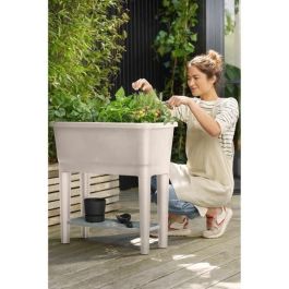 Huerto de pie ELHO Noa - Gris - L 79 x B 39 x H 94 cm - cultivo y cosecha - 100% reciclado Precio: 94.68999958. SKU: B1FEKZNBTX