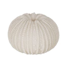 Lámpara de mesa Blanco Precio: 17.5000001. SKU: B17SC59ZM4