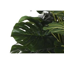DKD Home Decor Planta Tropical Monstera Artificial Verde 80 Ancho x 80 Largo x 150 Alto cm Decoración Interior (2 Unidades) DKD Home Decor Planta Tropical Monstera Artificial Verde 80 Ancho x 80 Largo x 150 Alto cm Decoración Interior (2 Unidades)