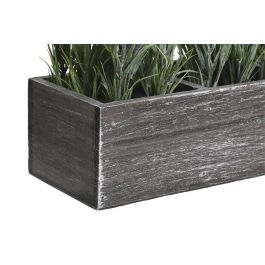 DKD Home Decor Planta Lila Verde 14 x 19.5 x 32 cm (2 Unidades)