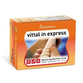 Vittal In Express Vittal In Express Precio: 26.7899995. SKU: B1CSRPMP6K