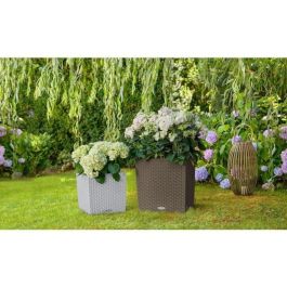 Lechuza LEC4008789153975 Maceta Cube Cottage 50, Juego Completo, Gris Claro
