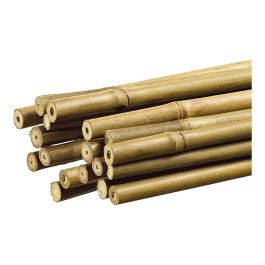 Grow Tutor de bambú decorativo color natural 1,1cm x1,50m para huertos y jardines