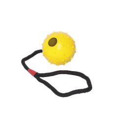 Gloria Pelota de Goma con Cuerda para Perro, Juguete Resistente para Lanzar y Premios, Diámetro 5*30 cm Precio: 2.6899994. SKU: S6101418