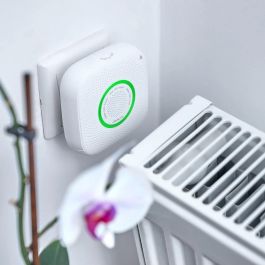 Shelly Sensor de gas natural CNG WLAN - Detector de fugas inalámbrico