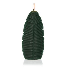 Vela Hoja Grande Versa 4X22CM (4 Unidades) Vela Hoja Grande Versa 4X22CM (4 Unidades) Precio: 19.49999942. SKU: S3401130