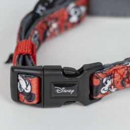 Collar Premium Para Perros M/L Minnie T4M:M/L